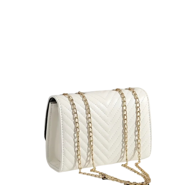 BAGUXE V” Luxe Shoulder Clutch Party Bag