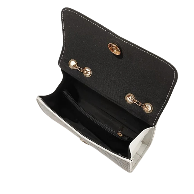 BAGUXE V” Luxe Shoulder Clutch Party Bag